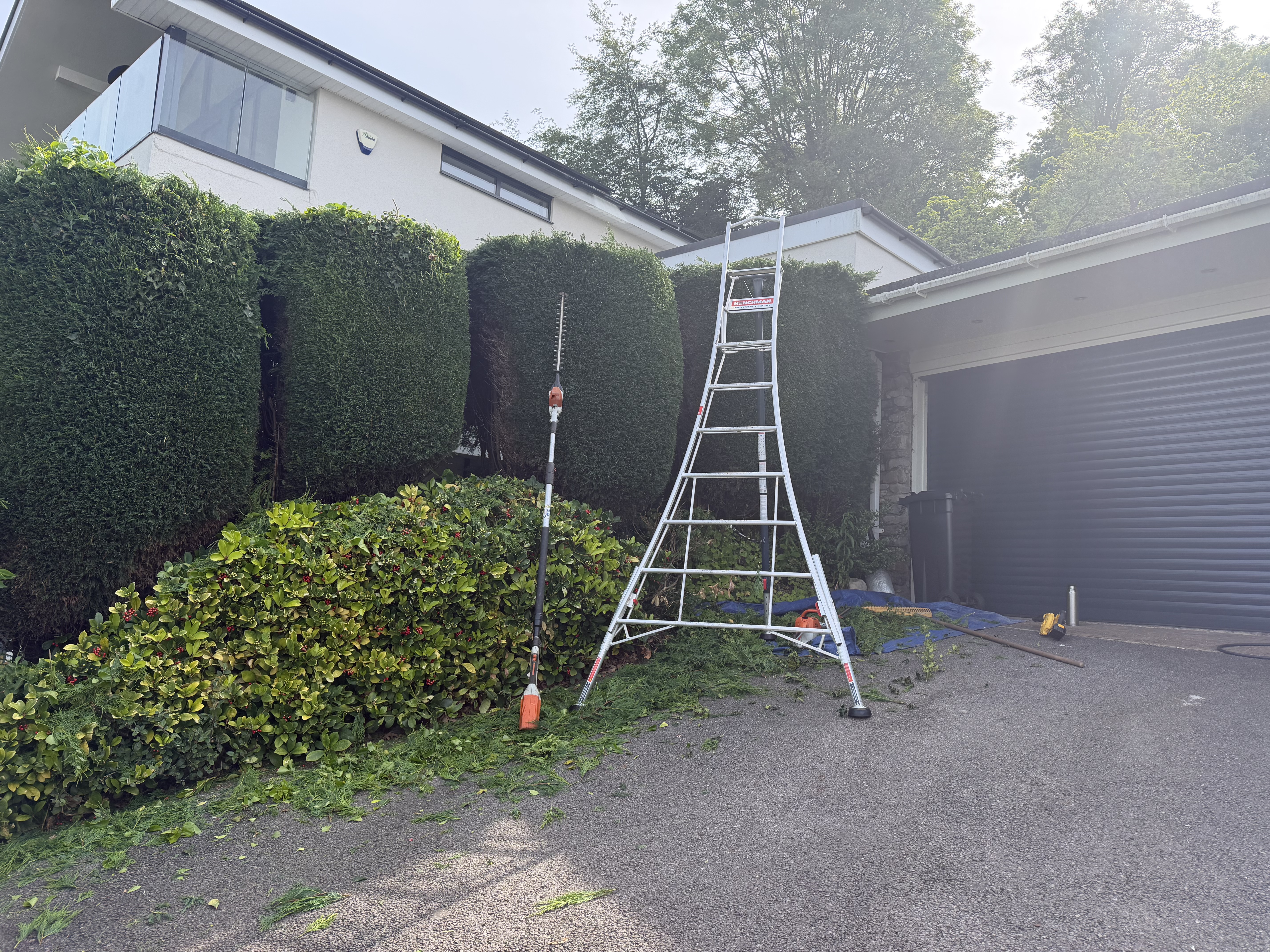 Hedge trimming maintenance