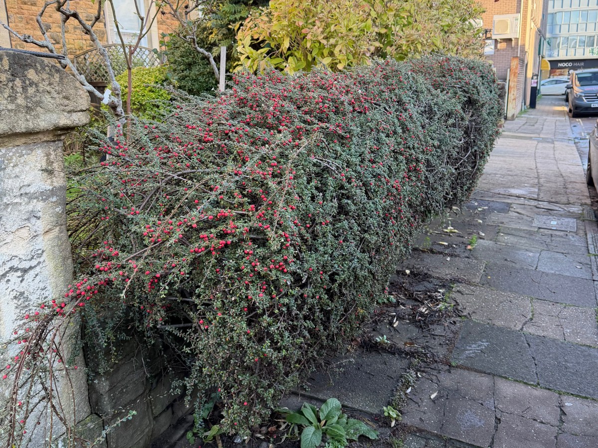 Going in to&nbsp;Winter