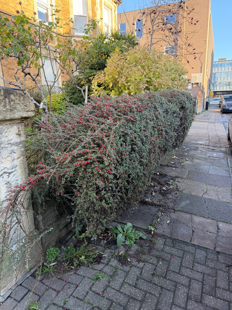 Going in to&nbsp;Winter